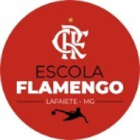 ESCOLA FLAMENGO LAFAIETE S7 C