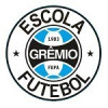 GRêMIO LONDRINA | SUB 09