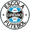 ESCOLA GRÊMIO PORTO ALEGRE LONDRINA/J6SOCCER | SUB-07