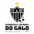 ACADEMIA DE FUTEBOL DO GALO ITABIRITO SUB-13